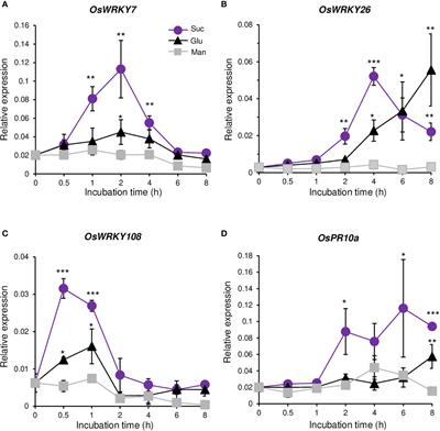 Sucrose preferentially promotes expression of OsWRKY7 and OsPR10a to enhance defense response to blast fungus in rice